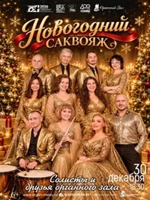 Новогодний саквояж 2026